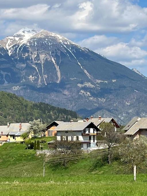 Mountain Vista Apartment Bled Esterno foto